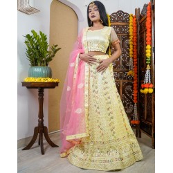Dazzler Lehenga with Canvas Set